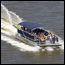 Flamingo Boat Tours