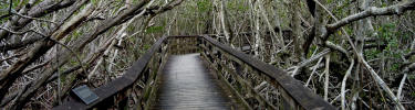 West Lake Boardwalk Trail