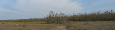 Christian Point Trail