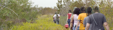 Volunteer Group on the Coastal Prairie Trail