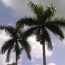 Find More Lodging