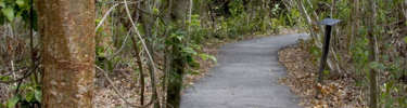Gumbo Limbo Trail