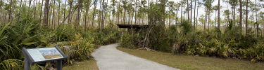 Pineland Trail