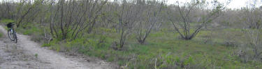 Rowdy Bend Trail