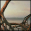 Whitewater Bay
