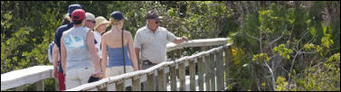 Volunteer Leading a Guided Walk