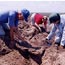 Digging into the Past-- Archaeological Discoveries