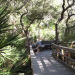 Fort Matanzas State Forest