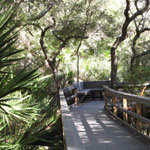 A Bit of Old Florida
