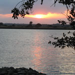 An Ecological Haven