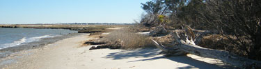 Low tides expose sandy beaches along Cockspur Island
