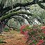 Georgia State Parks