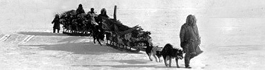 Sled loaded with skins and poles for tent