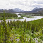Connecting People to Ecosystems