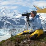 Studying harbor seals in Glacier Bay