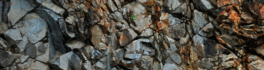 Glacier Bay geology can be a geologist's dream ... or nightmare!