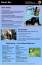 Be Bear Safe in Glacier Bay