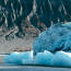 Glaciers and Climate Change