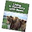 Living In Harmony With Bears