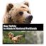 Bear Safety in Alaska National Parklands