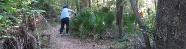 Hikers enjoy photographing plants on the Naval Live Oaks Trail