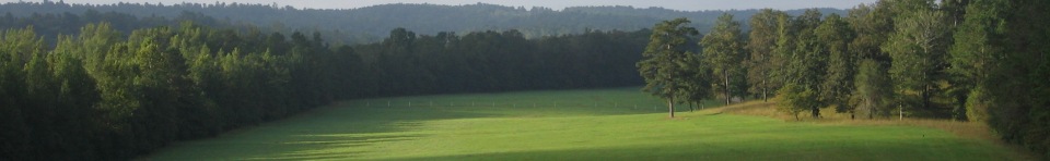A View of the Horseshoe Bend Battlefield.