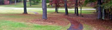 Nature Trail in Autumn