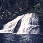 A large waterfall in a ravine (Hackers Falls)