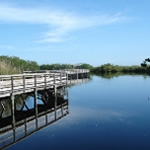 Visiting the Everglades