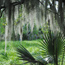 Barataria Preserve