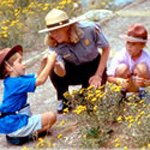 Park Ranger leading a Junior Ranger program