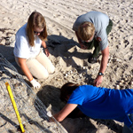 Volunteers helping with Turtle Nest protective screening.