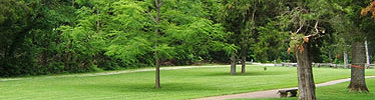 A picture of landscape behind the Memorial Building at the Birthplace Unit