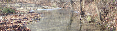 A picture of Knob Creek during the Fall