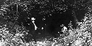 Picture of the Sinking Spring circa 1890s Picture of the Sinking Spring circa 1890s