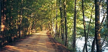 Scenic route along the August Canal
