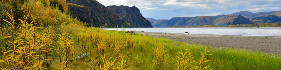 The Slaven's beach on the Yukon River