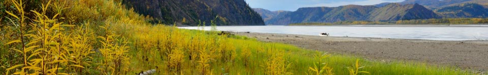 The Slaven's beach on the Yukon River