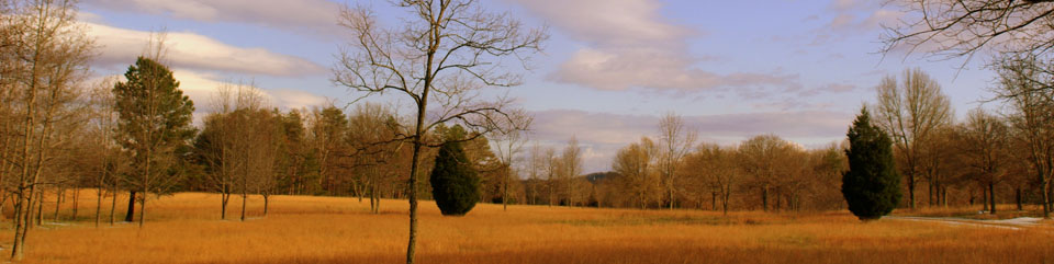 The foreground shows the battlefield in winter. Thicketty Mountain, a landmark used by both armies, is in the distance. The Green River Road, used by both armies to reach the cow pens, is on the right.
