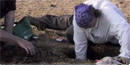 Two archeologist from the National Park Service digging in test pits in Bering Land Bridge National Preserve Two archeologist from the National Park Service digging in test pits in Bering Land Bridge National Preserve