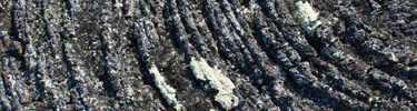 Ropey, black hardened lava decaying and crumbling due to arctic conditions.