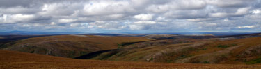 Rolling hills covered in early autumn colored tundra, blue sky with large white clouds.