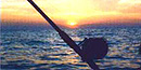 A fishing rod and reel await use at sunset. A fishing rod and reel await use at sunset.