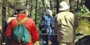 Hikers admire spring wildflowers near Charit Creek. Hikers admire spring wildflowers near Charit Creek.