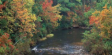 River view at Peters Bridge