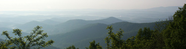 Foggy view off of Parkway