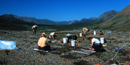 Image of archeologists working in the field Image of archeologists working in the field