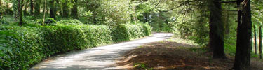 the winding historic drive to the Sandburg home