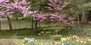 photo of Margaret's flower garden located northwest of the main house photo of Margaret's flower garden located northwest of the main house
