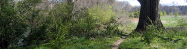Trail at Abbotts Bridge - Photo by Matt Harr